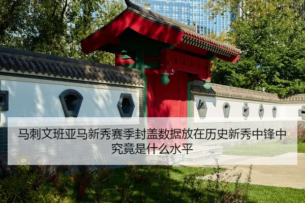 马刺文班亚马新秀赛季封盖数据放在历史新秀中锋中究竟是什么水平