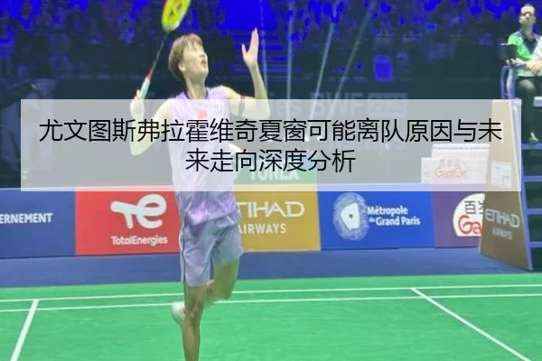 尤文图斯弗拉霍维奇夏窗可能离队原因与未来走向深度分析